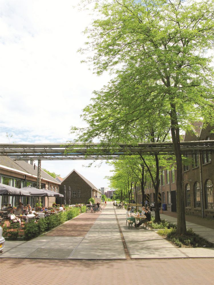 1627006958571166.jpg Photo Wagenwerkplaats.jpg