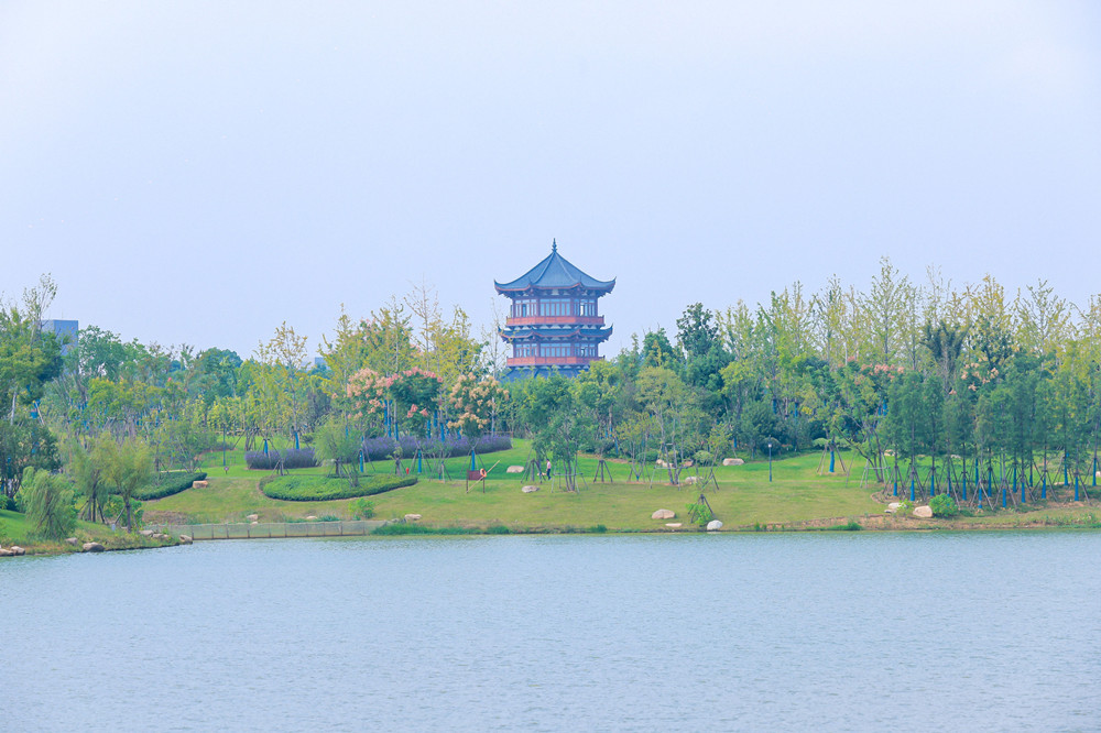 7R1A9207.JPG_tplv-9lv23dm2t1-size_2245780_副本.jpg